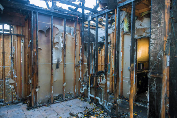 Professional Smoke Damage Removal technician working in Waddell, AZ